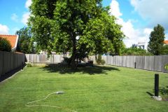 aanleg_gazon_284029