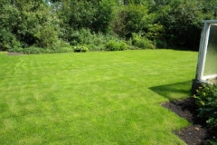 groen gazon achtertuin 4