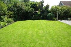 groen gazon achtertuin