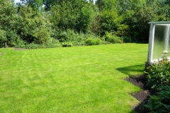 groen gazon achtertuin 2