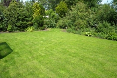 groen gazon achtertuin 3