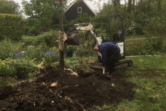 boom-planten-folder