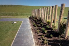 border-met-palen