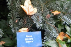 normal_Afbeelding_134 - kopie