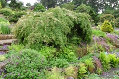 normal_Wisley_Gardens_03