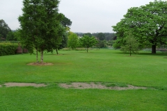 SDC10117