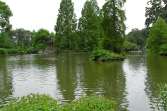 SDC10140