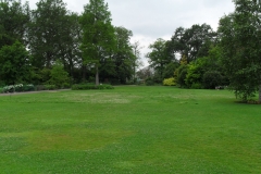 SDC10142