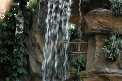 SDC10153