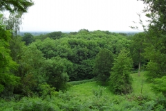 SDC10207
