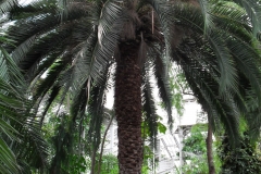 SDC10237