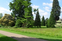 SDC10322