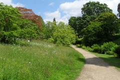 SDC10330