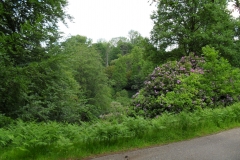 SDC10350