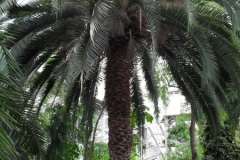 normal_SDC10237