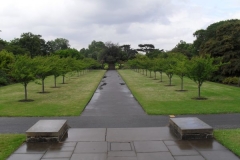 normal_SDC10241