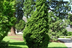 normal_SDC10301