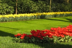 KEUKENHOF 2011