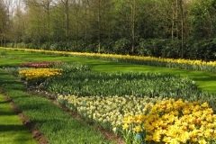 KEUKENHOF 2011