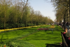 KEUKENHOF 2011