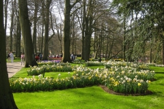 KEUKENHOF 2011