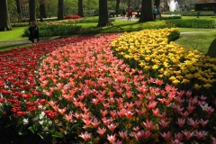 KEUKENHOF 2011