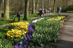 KEUKENHOF 2011