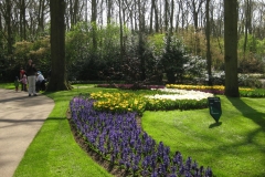 KEUKENHOF 2011