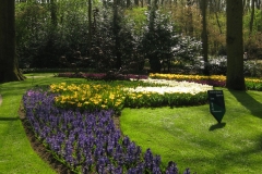 KEUKENHOF 2011