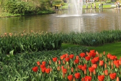 KEUKENHOF 2011