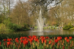 KEUKENHOF 2011