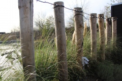 palen-grass