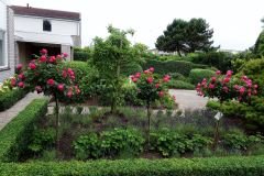 IMG_20180614_150735_3