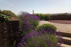 IMG_20180703_121758_7-1