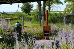 Tuin en terras Gert Bezemer Hoveniers