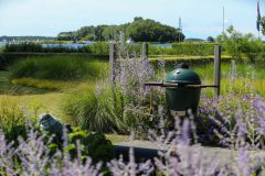 Tuin en terras Gert Bezemer Hoveniers