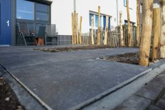 Tuin en terras Gert Bezemer Hoveniers
