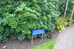 TUINEN VAN APPELTERN 2010