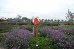 TUINEN VAN APPELTERN 2010