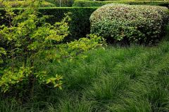 IMG_20180622_143349_1