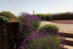 IMG_20180703_121758_7